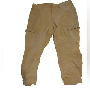 Banana Republic Khaki Cargo Pant Size 18